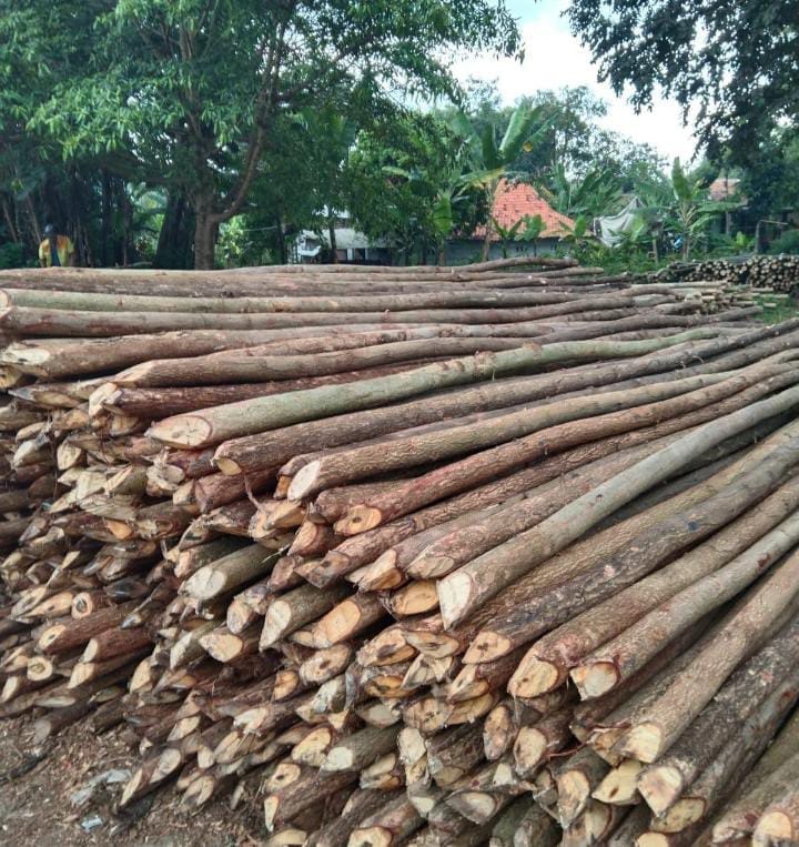 Dolken Lokal 5×7 Steger 1 Dolken Lokal