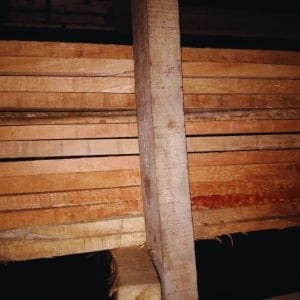Kayu Papan 2×20 3 Meter