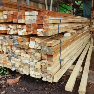 Kayu Kaso 3 harga-kayu-kaso-per-batang.jpg