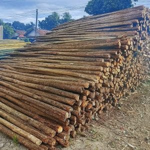 Kayu Dolken 4 jual kayu dolken terdekat
