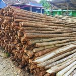 Toko Kayu 5 Kayu Dolken