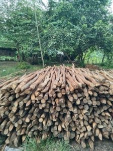 Dolken Puspa 4×7 4M 3 dolken-puspa-4x7-4-meter.jpg