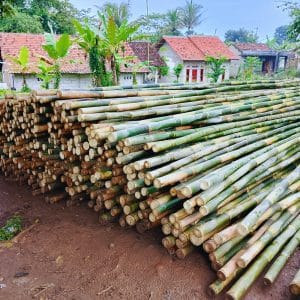 Steger Bambu 5 harga-bambu-6-meter.jpg