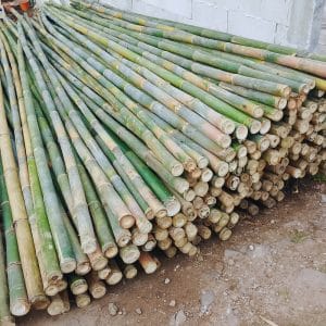 Steger Bambu 4 jual-bambu-steger-terdekat.jpg