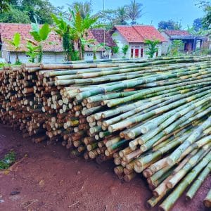 harga-bambu-tiang-bendera.jpg